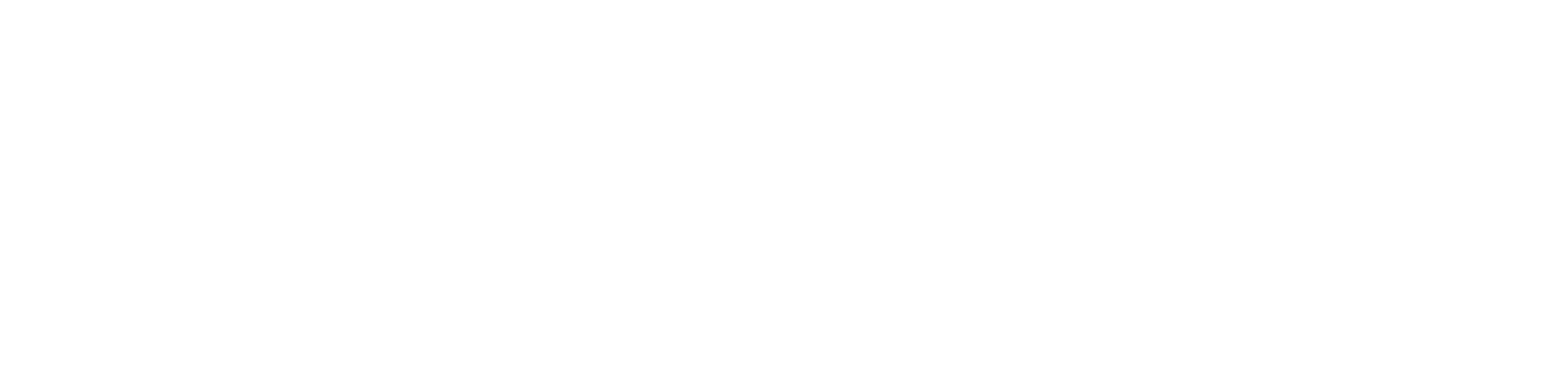 Logo Conorm